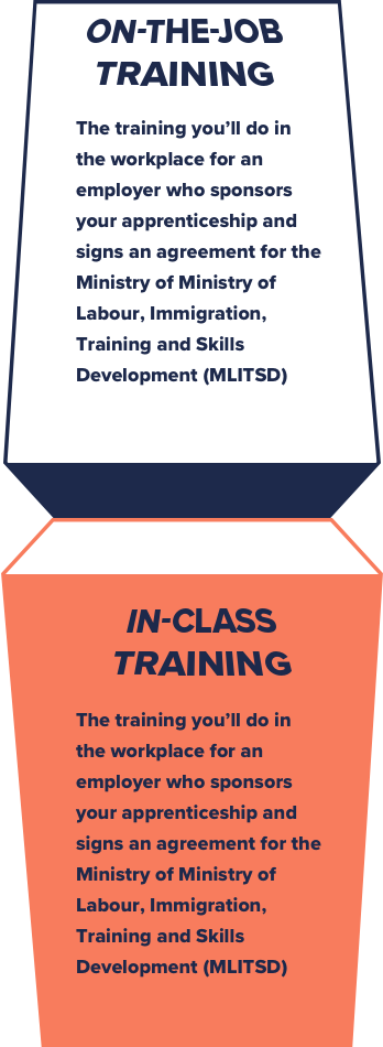 On-the-job training vs. in-class training for a trades career infographic